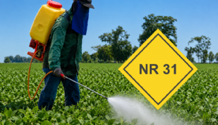 Segurança Na Aplicação de Agrotóxicos - Nr 31