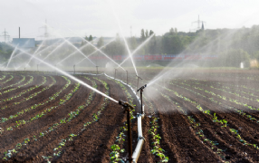 Imagem do Curso Online Irrigação Agrícola